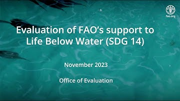 Evaluation of FAO’s support to Life Below Water (SDG 14)