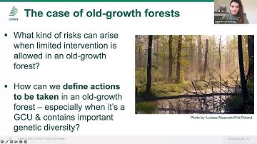 Webinar Manage to Conserve Forest Genetic Resource conservation as part of Sustainable Forest Manage