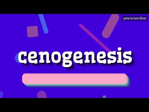  كيف تنطق التكاثر      