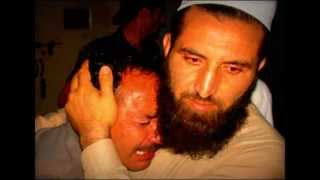 Sheikh Hamza Yusuf - Shia Muslims