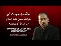 Purpose of life and shahadatehussain  3 indicators  grey lounge