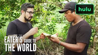 5000 Years Of Flavor Costa Rican Cuisine Eaters Guide To The World Hulu