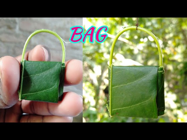 How to make a BAG with mango leaf. 