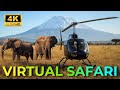 TANZANIA Virtual Safari | Wildlife &amp; Kilimanjaro in 4K