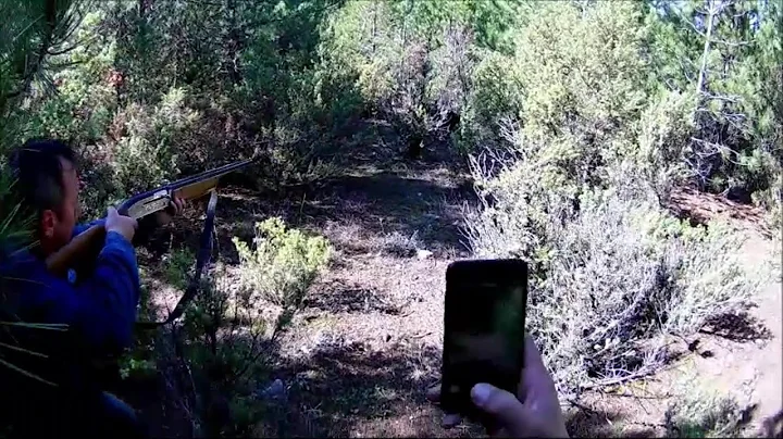 Wonderful Wild Boar Hunts-Harika yaban domuzu avları #domuzavi #wildboar