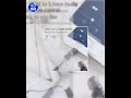 TECPHILE USB-C to 3.5mm DAC Headphone Adapter Clear Hi-Fi
