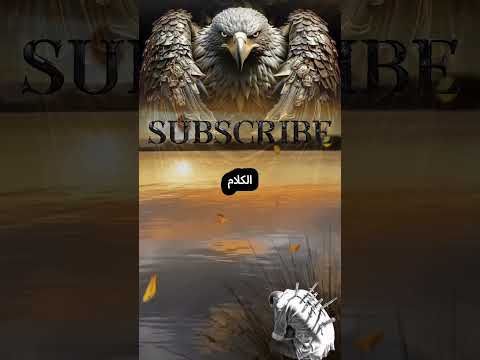 كلمات تفتح العقل وتلامس القلب اكسبلور