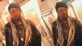 CAPTURED! Coward who viciously attacked 78-year old woman on NY subway arrested