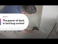 Temprid® Dust - The Power of Dust in Bed Bug Control