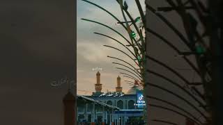 يهل عايش الرادود حسين الصالحي ستوريات حسينيه