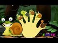 The Finger Family Song 笙 Snail 笙 Daddy Finger Nursery Rhymes Kids Song The Finger Family Song 笙 Snail 笙 Daddy Finger Nursery Rhymes Kids Song