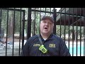 Harrowing Incidents Involving Children at Local Pools Wednesday