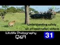 Wildlife Photography Q&A 31 - Are open safari vehicles safe?