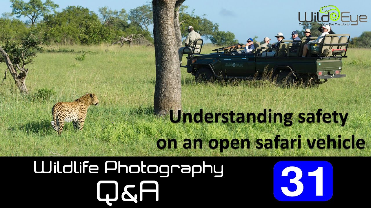 safari vehicle safety