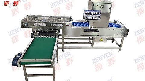 ZENYER ZYAI30-6S Visual Defective Egg Detector