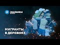 📍Милиция занялась угоном / Мигранты пугают сельчан / В больницах нет персонала