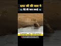 गेंडे ने मानी अपने दादा जी की बात 😱 । Animal shorts । #shorts #ytshorts