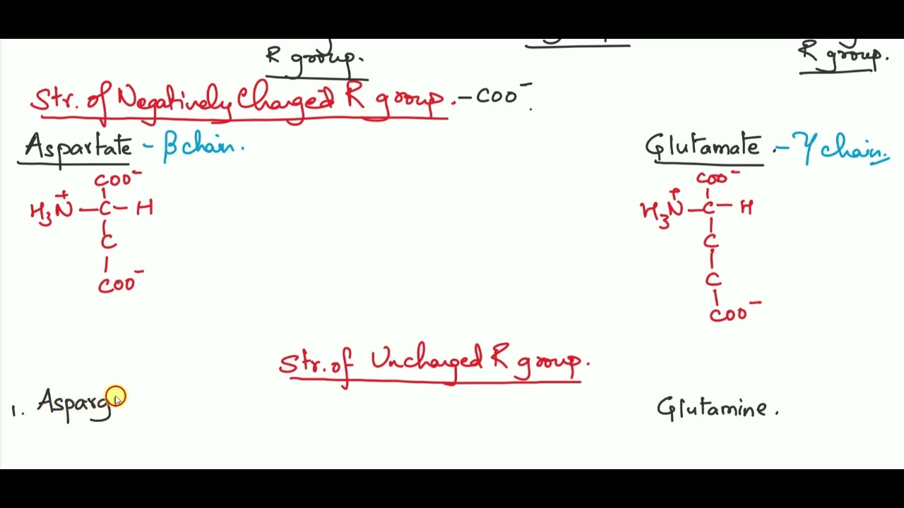 Structure of Polar Amino Acids Negatively Charged R group and