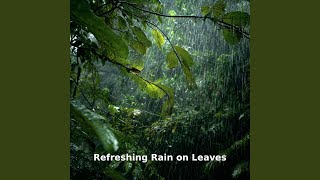 Refreshing Rain on Green Leaves, Pt.7