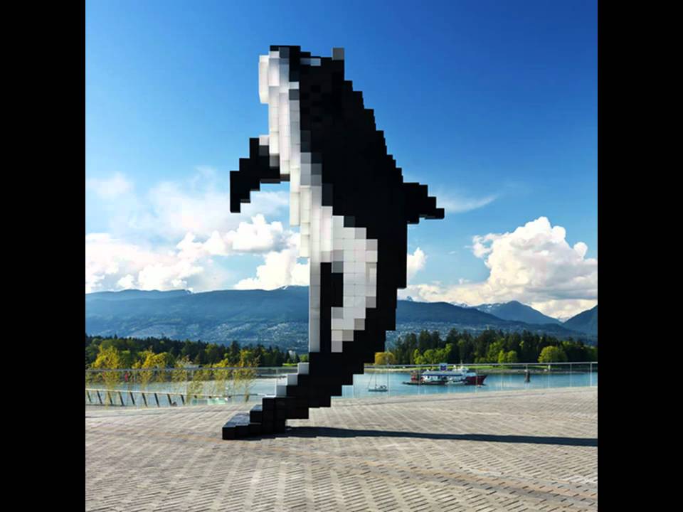 Digital Orca of Douglas Coupeland