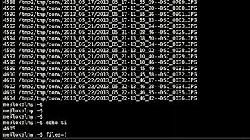 Practically bash programming: Resizing multiple images