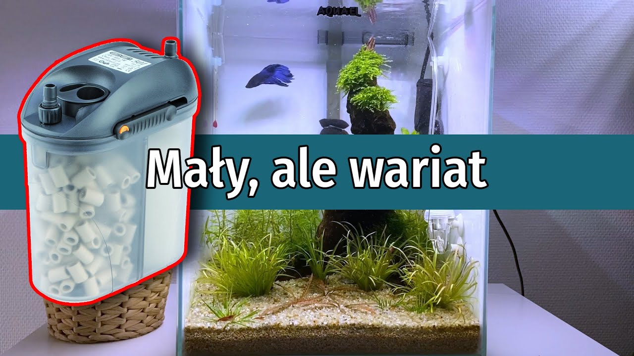 00105 - Mały, ale wariat 