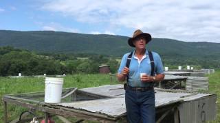 Joel Salatin's 3 Farming Principles