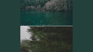 Bubbly (Finding Headspace)