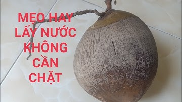 Mẹo hay/Cách lấy nước dừa ra khỏi trái dừa không cần chặt# Nghề hạ bạc