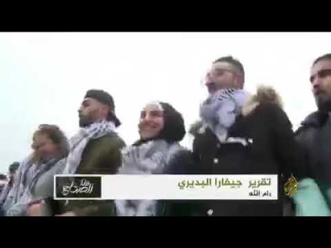 قصة زريف الطول