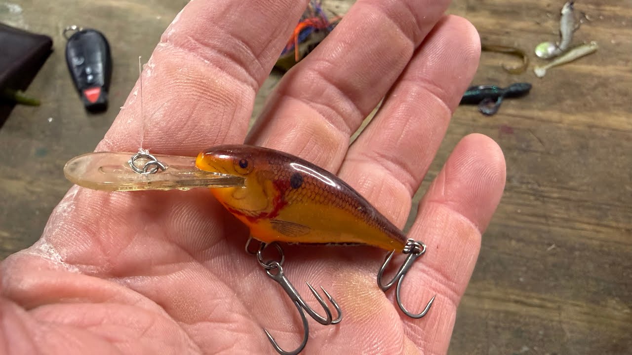 Why The Little No. 5 Shad Rap HAMMERS Cold Water Bass…