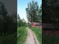 How many people grow up with only winter in their hometown and no spring summer and autumn