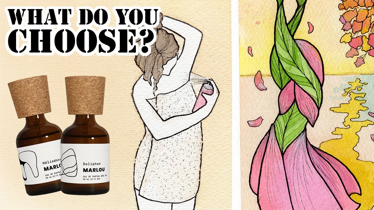 Doliphor and Heliodose from Marlou...as drawings?