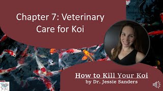 How to Kill Your Koi: Chapter 7 (Koi Vet Care)