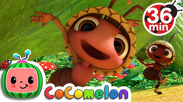 Ants Go Marching + More Nursery Rhymes & Kids Songs - CoComelon