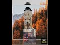 Yellow Lab Affirmation Tumbler: 20 oz Insulated Travel Cup