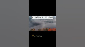 #اكسبلور #تلاوة_هادئة #تلاوة_خاشعة  #دويتو #القارئ_الشيخ #تيك_توك #القرآن_الكريم #لايك #راحة_نفسية