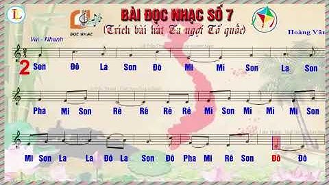 Bài tập đọc nhạc số 7 lớp 7 năm 2024