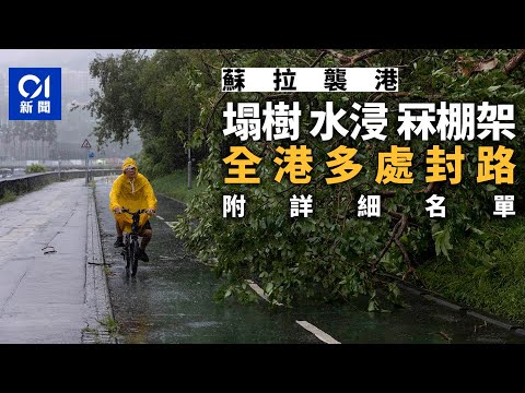 颱風蘇拉｜塌樹水浸冧棚架 政府收逾360個報告 全港多處封路｜01新聞｜風暴消息｜風球｜蘇拉｜冧樹｜棚架