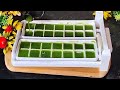 2 in 1 Magic Cube Make 2 Instant Low Calories Drinks in 2 Minutes