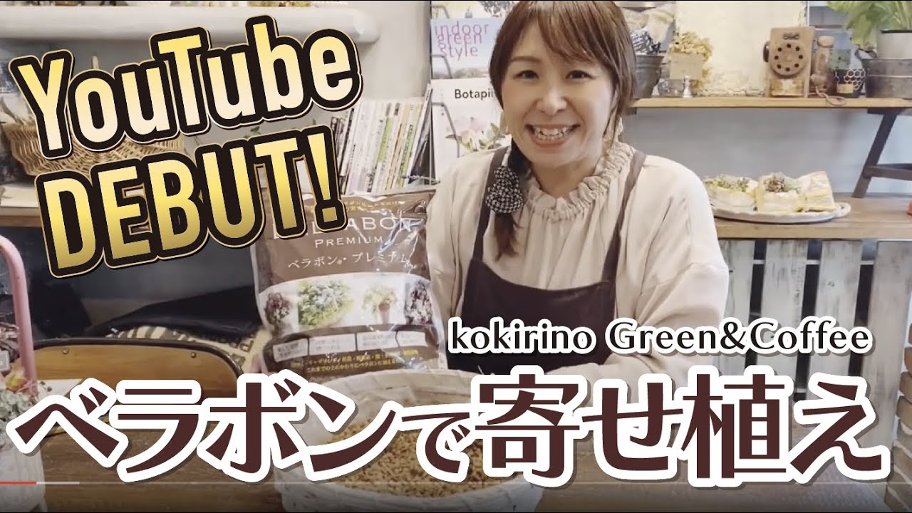 【ベラボンで多肉植物寄せ植え】コキリノGreen&Coffee