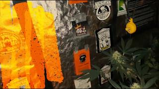 Huge thank you to O.E.S with Dutchman420