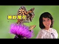 村上幸子 美紗尾花