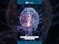 AI Sounds Smart.. But Do You Know Why? | AI Explained in 20 Seconds | Nextleapeducation #ai #chatgpt