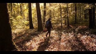 EUROPE 1 ET VOUS - Les promeneurs redoutent-ils les chasseurs ?