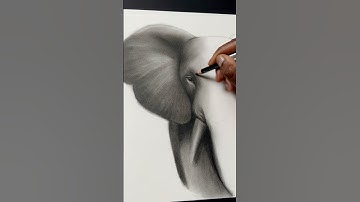Hyper-Realistic Elephant Drawing with Charcoal and Graphite #artideas #artisticchallenge