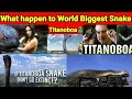 Titanoboa🐍 | How Titanoboa, the 40-Foot-Long Snake, Was Found | Titanoboa The Monster Snake🐍