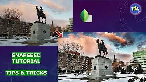 How to edit photos like a pro | Drama,Curves,Shadows | Professional Snapseed Tutorial | Tips/Tricks