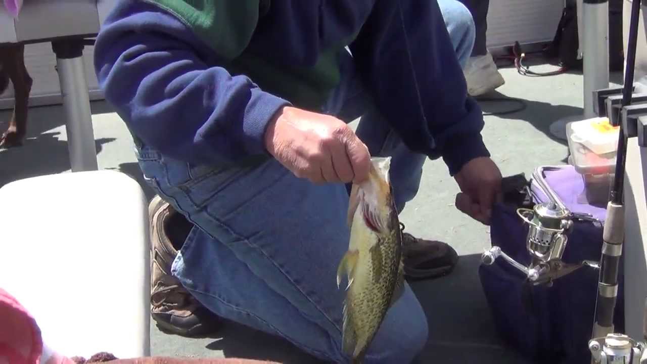14 Inch Crappie YouTube