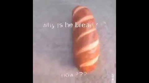 Dog turns into bread??????